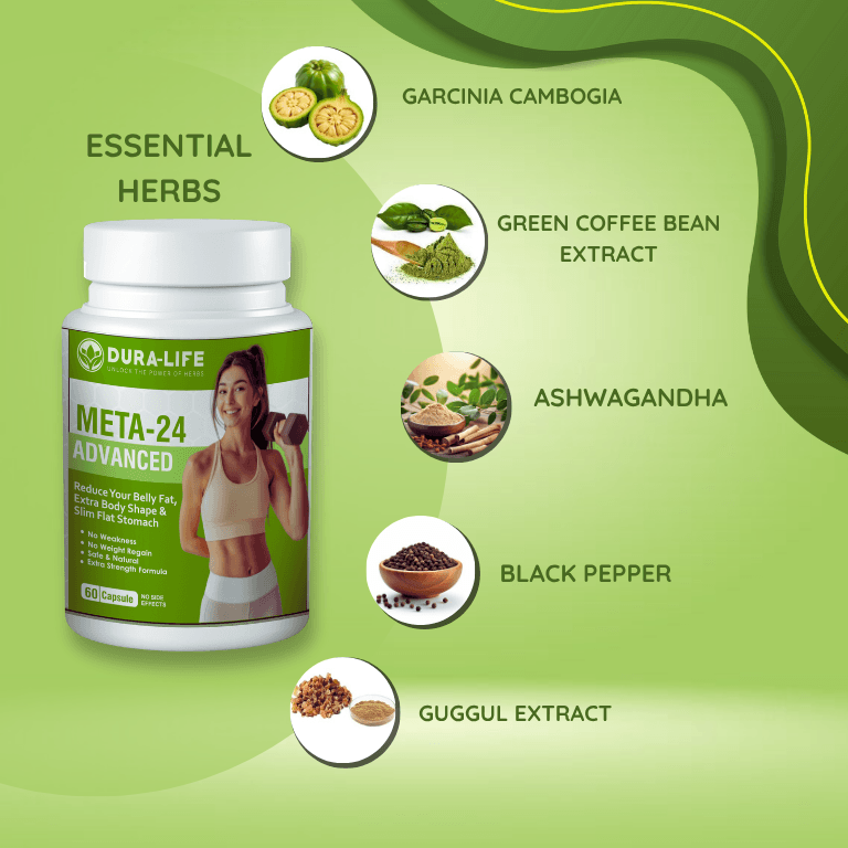 Meta 24 Advanced - Image 2